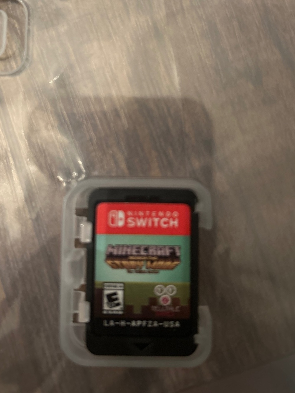 Nintendo switch (Minecraft Story Mode)